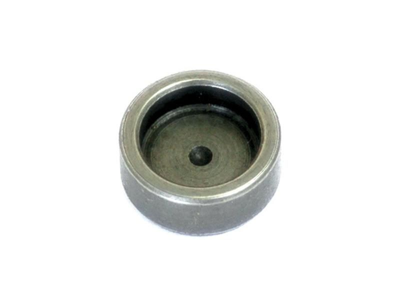 Valve Cap